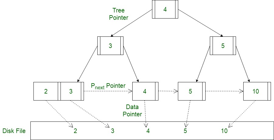 B+ tree